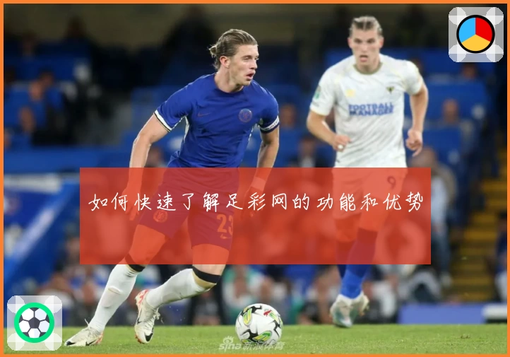 如何快速了解足彩网的功能和优势