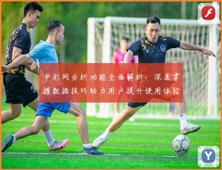 中彩网分析功能全面解析，深度掌握数据技巧助力用户提升使用体验