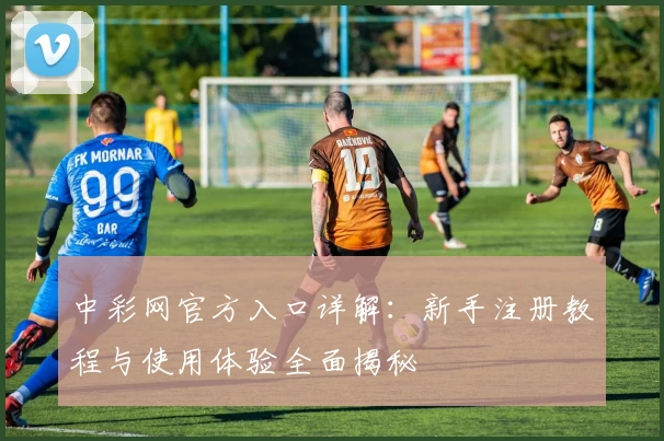 中彩网官方入口详解:新手注册教程与使用体验全面揭秘