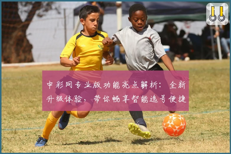 中彩网专业版功能亮点解析：全新升级体验，带你畅享智能选号便捷服务